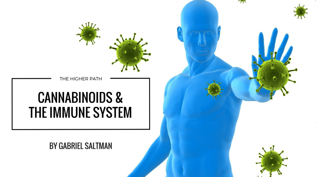 Illustration of a blue human figure blocking green virus particles with text reading Cannabinoids & the Immune System by Gabriel Saltman.