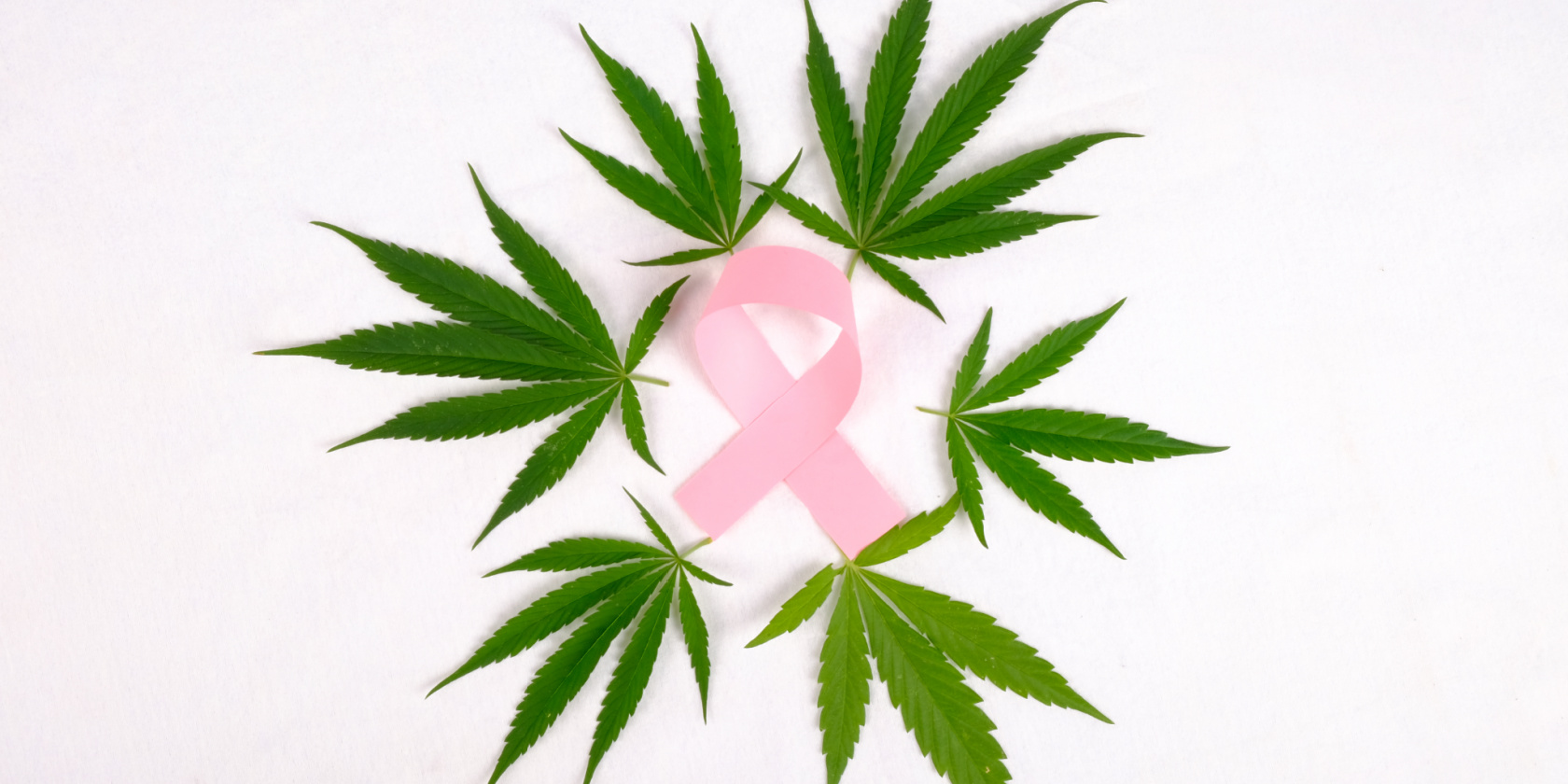 Pink breast cancer awareness ribbon surrounded by green cannabis leaves arranged in a circular pattern on a white background.