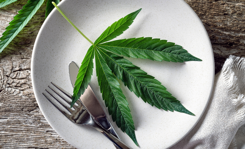 Cannabis leaf arranged on a white dinner plate with fork and knife, styled like a meal on a rustic wooden table.
