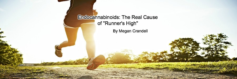 Low-angle photo of a person running on a sunlit path outdoors, with overlaid text reading ‘Endocannabinoids: The Real Cause of Runner’s High’ and ‘By Megan Crandell.’