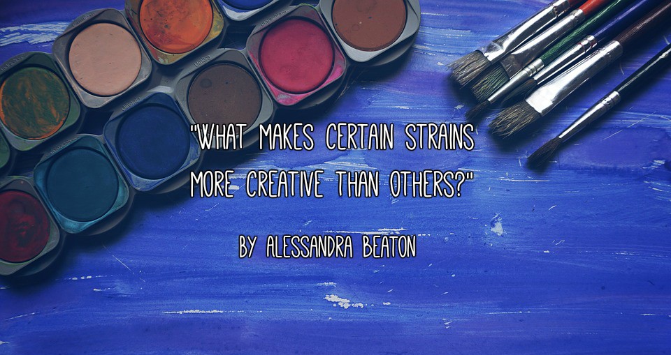 Watercolor paint palette and paintbrushes on a blue painted surface, with overlaid text reading ‘What Makes Certain Strains More Creative Than Others?’ by Alessandra Beaton.