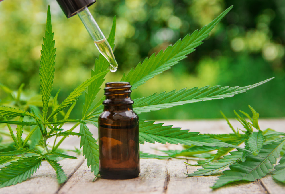 Dropper dispensing cannabis oil into an amber glass bottle surrounded by green cannabis leaves outdoors.