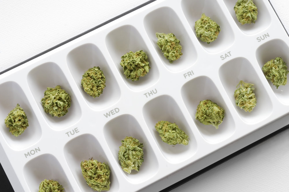 Weekly pill organizer filled with cannabis buds placed in compartments labeled by day of the week.
