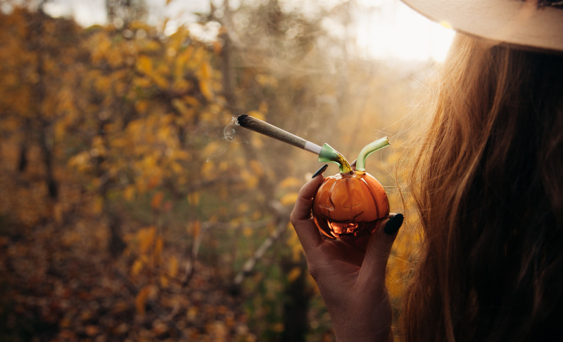 Person holding a pumpkin-shaped glass smoking pipe with a lit joint, standing outdoors among autumn trees with fall foliage in the background.