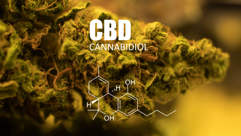 Close-up of cannabis flower with the text CBD Cannabidiol and an illustrated chemical structure overlay representing cannabidiol.