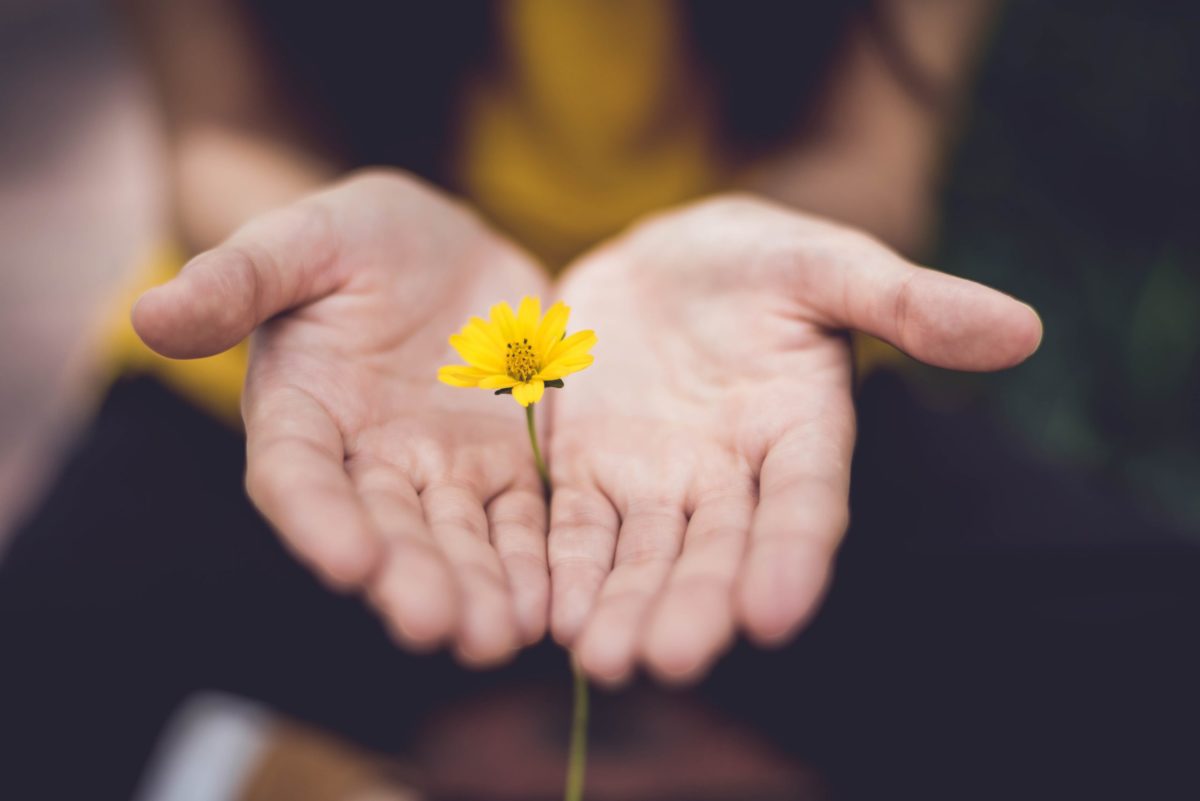Open hands gently holding a small yellow flower, symbolizing care, growth, and compassion.
