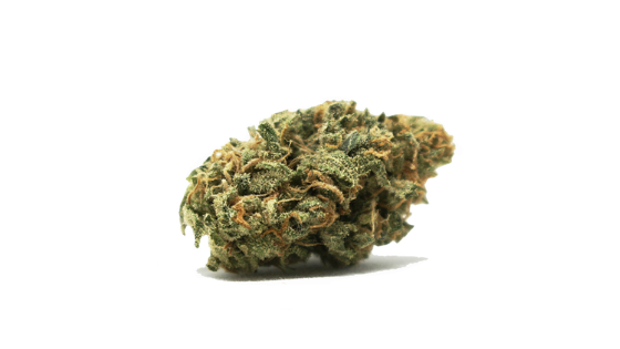 Close-up of a cannabis flower with green and orange hues isolated on a white background.