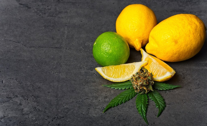 Still life of lemons, a lime, lemon slices, and a cannabis leaf with a small cannabis bud arranged on a dark stone surface.